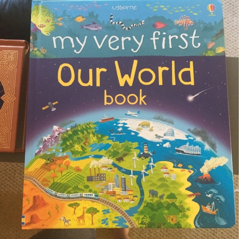 2 Usborne books
